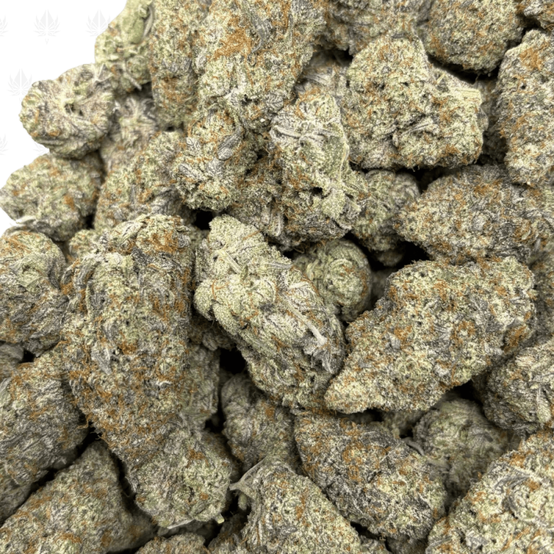 High Country Diesel-B (3)