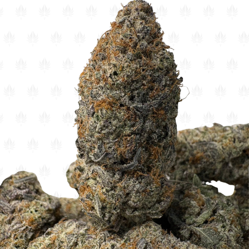 High Country Diesel-B High Country Diesel-B