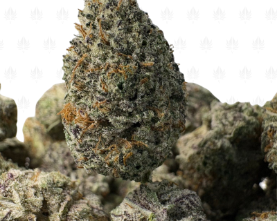 High Country Diesel-s