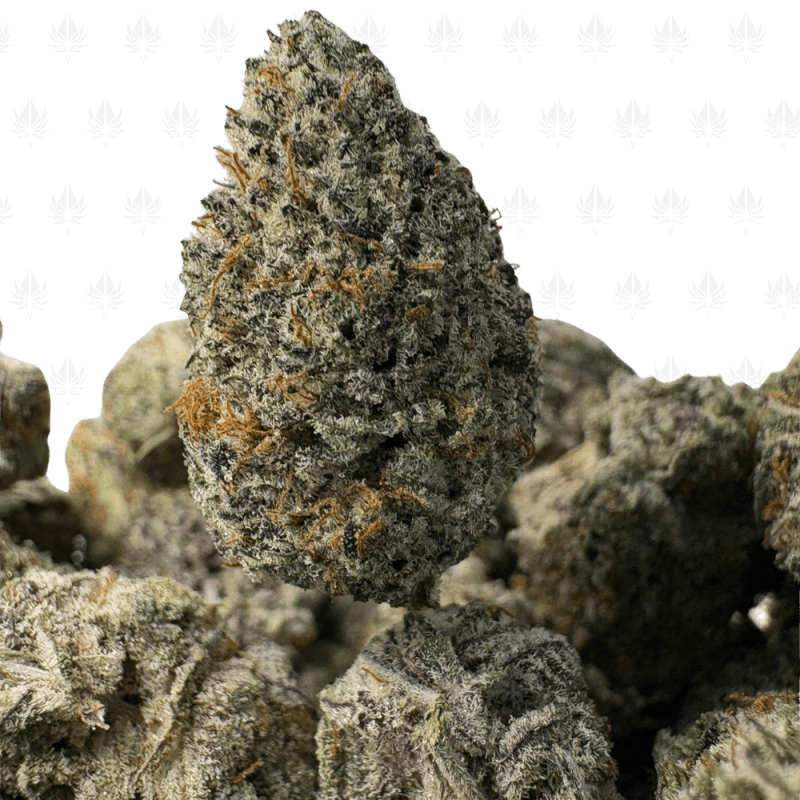 High Country Diesel-s