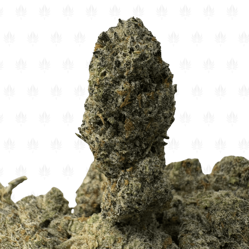 MAC & Cheese (3) MAC & Cheese (3)