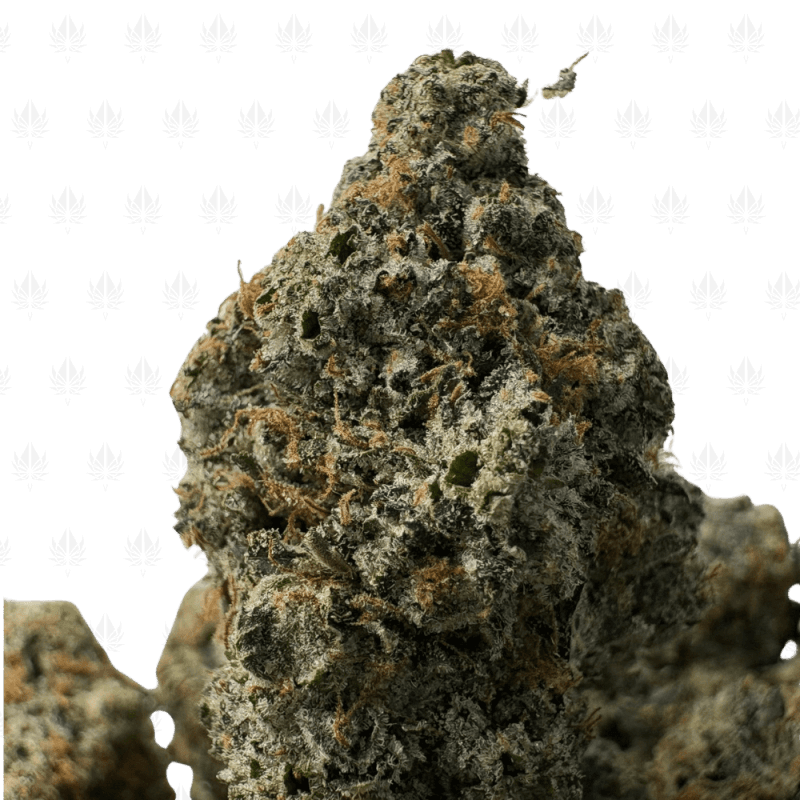 MK Ultra-B (2) MK Ultra-B (2)