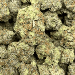 Pink Bubba-B (2)