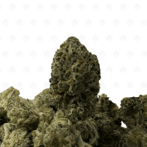 Pink Bubba-S (2)