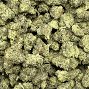 Pink Bubba-S (3)