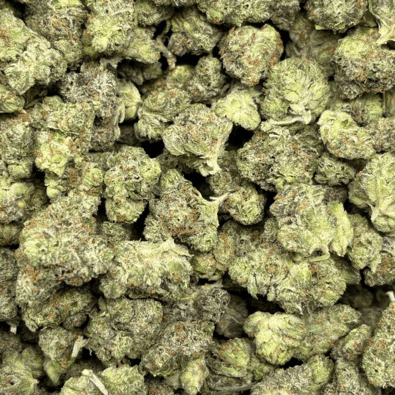 Pink Bubba-S (3)