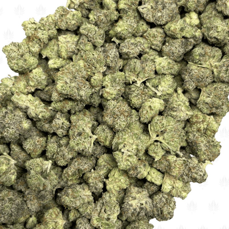 Pink Bubba-S