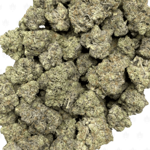 Pink Petroleum-B (2)