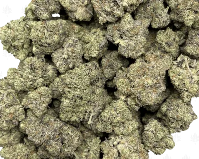 Pink Petroleum-B (2)