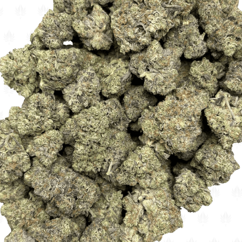 Pink Petroleum-B (2)