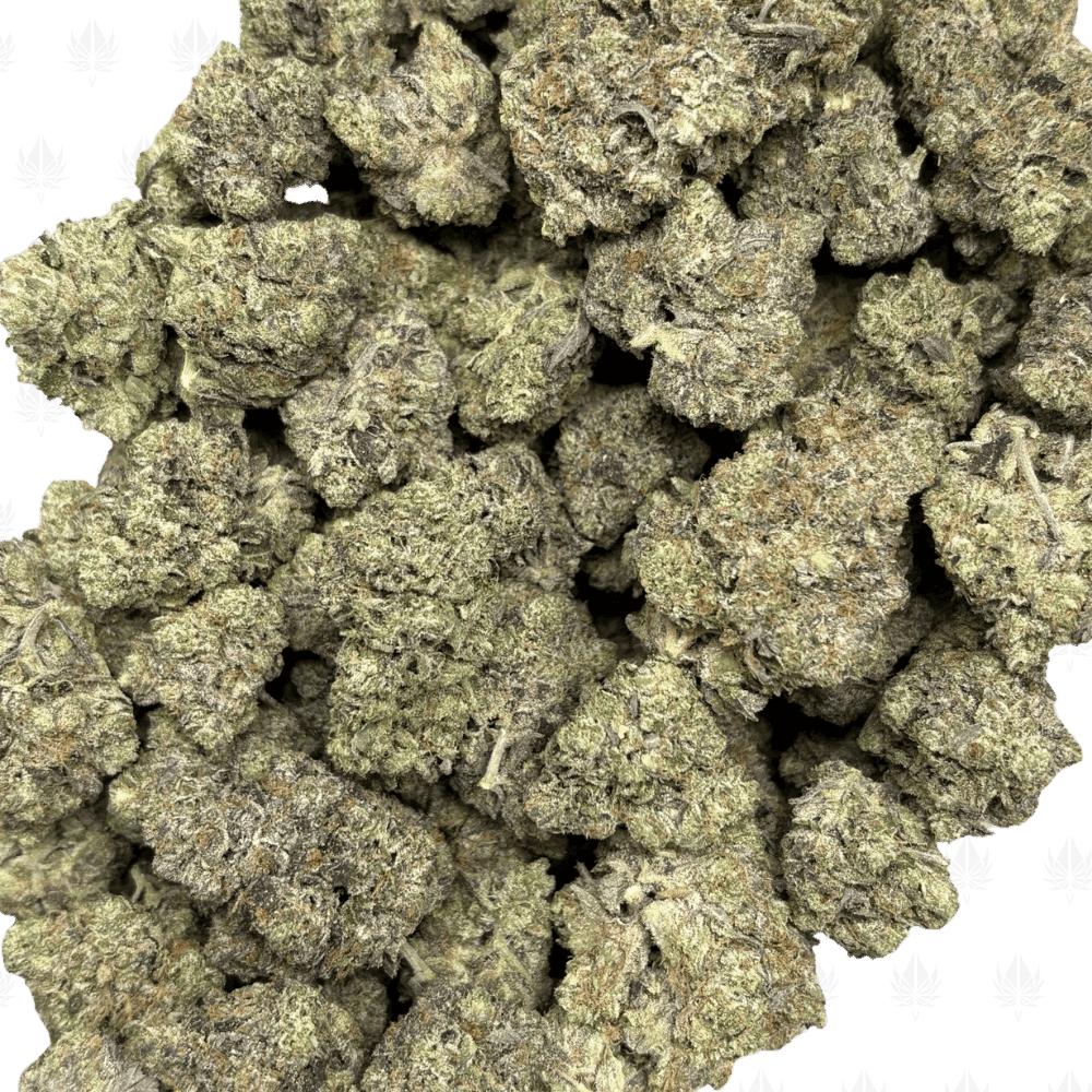 Pink Petroleum-B (2)