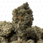 Pink Petroleum-B (3)