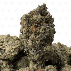 Pink Petroleum-B (3)