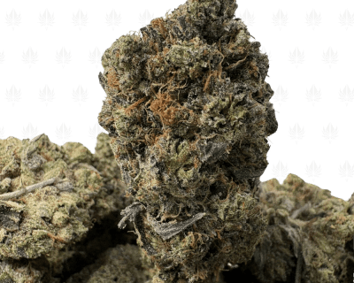 Pink Petroleum-B (3)