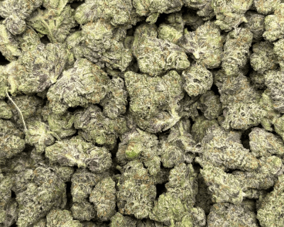 Pink Petroleum-S (2)