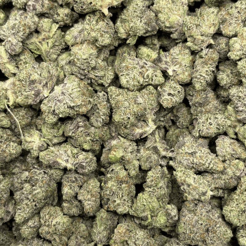 Pink Petroleum-S (2)