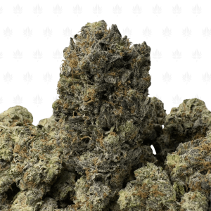 Platinum Rockstar-B (2)