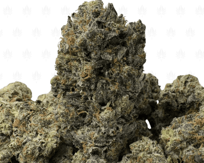 Platinum Rockstar-B (2)