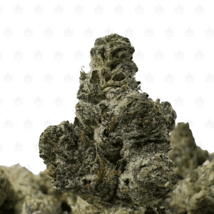 Platinum Rockstar-S (2)