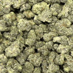 Platinum Rockstar-S (3)