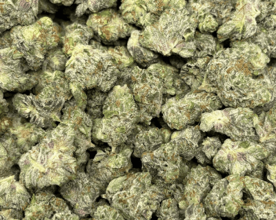 Platinum Rockstar-S (3)