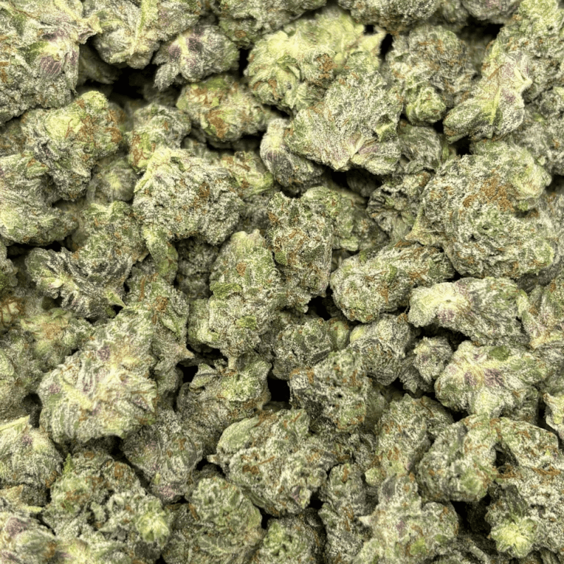 Platinum Rockstar-S (3)