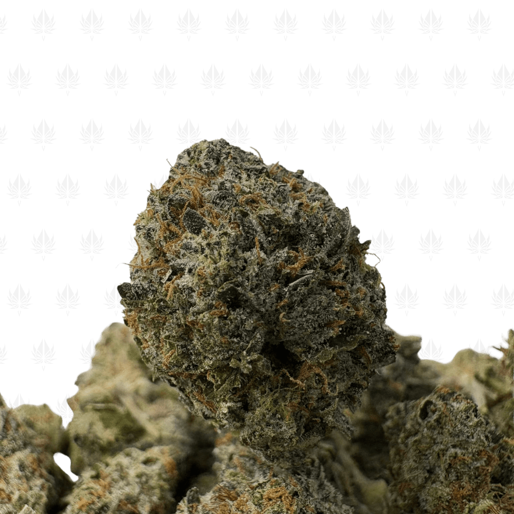 Pre-98 Bubba-S (2) Pre-98 Bubba-S (2)