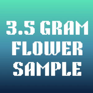FREE 3.5 GRAMS SAMPLE - Image 1