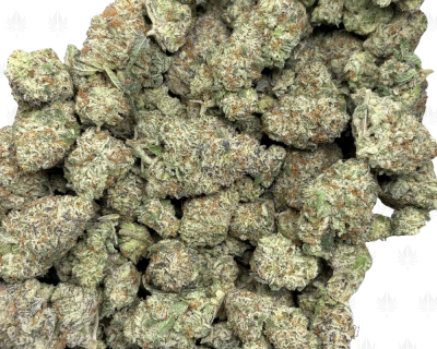 Blue Gelato 2