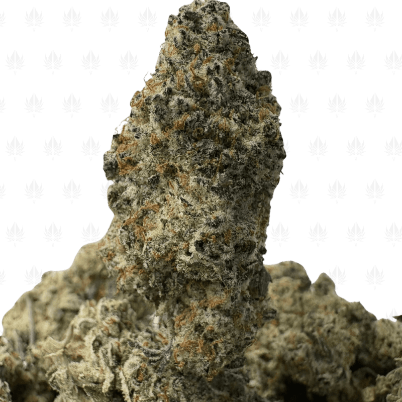 Blue Gelato 3 Blue Gelato 3