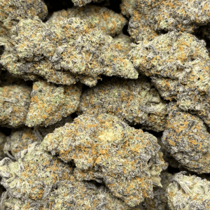 BLUEBERRY KIMBO-B (2)