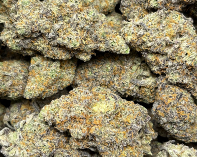 BLUEBERRY KIMBO-B (2)