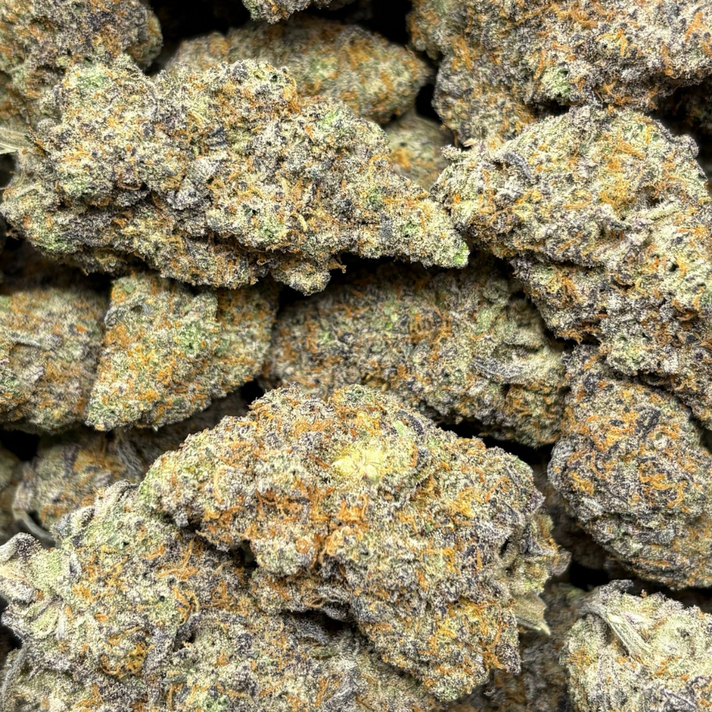 BLUEBERRY KIMBO-B (2)