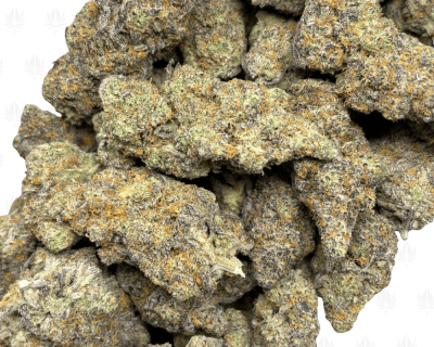 BLUEBERRY KIMBO-B (3)