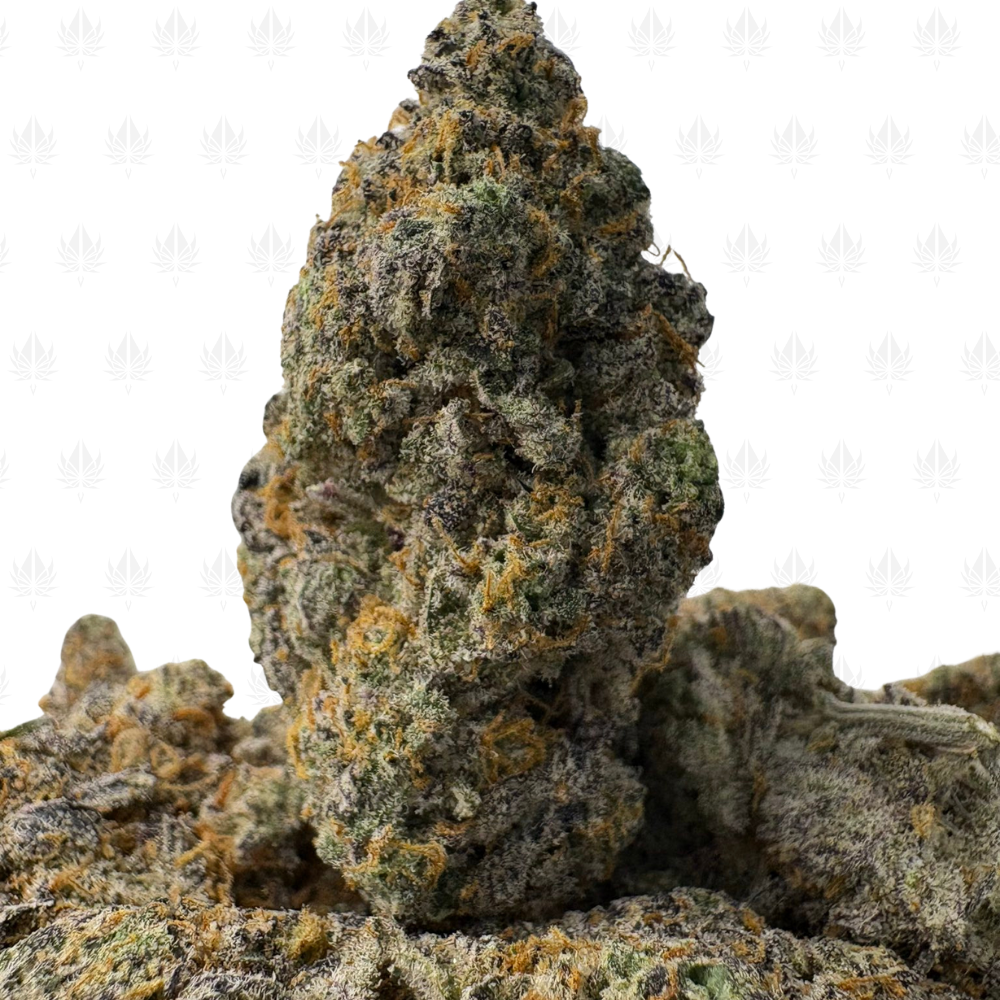 BLUEBERRY KIMBO-B BLUEBERRY KIMBO-B