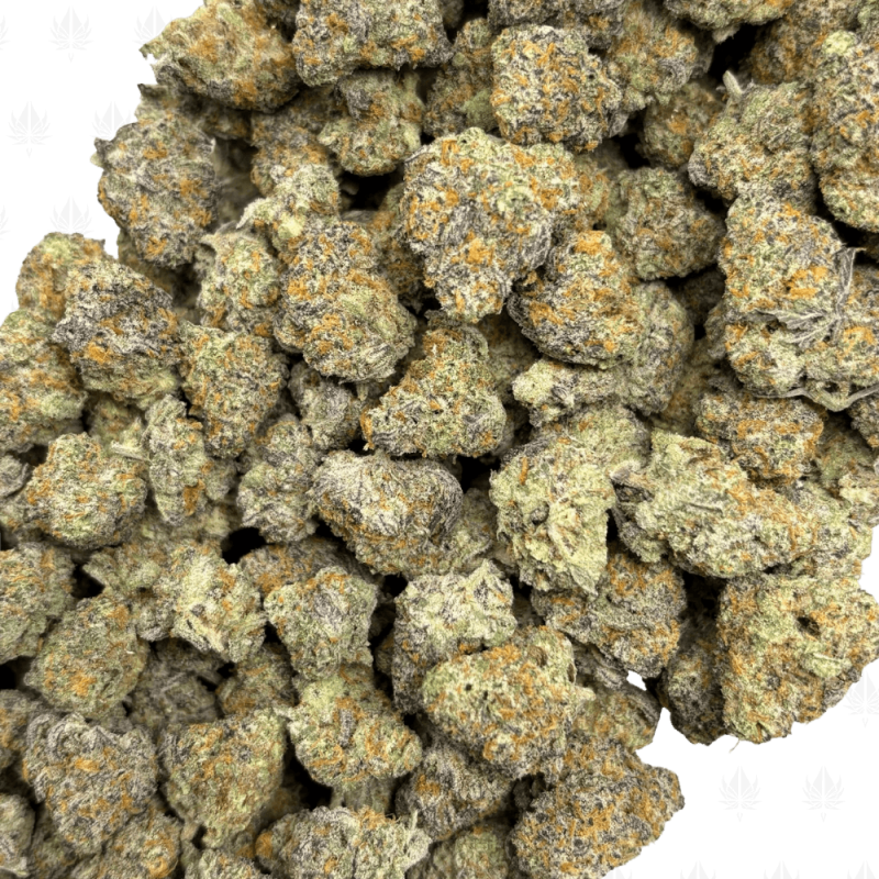 BLUEBERRY KIMBO-S (2)