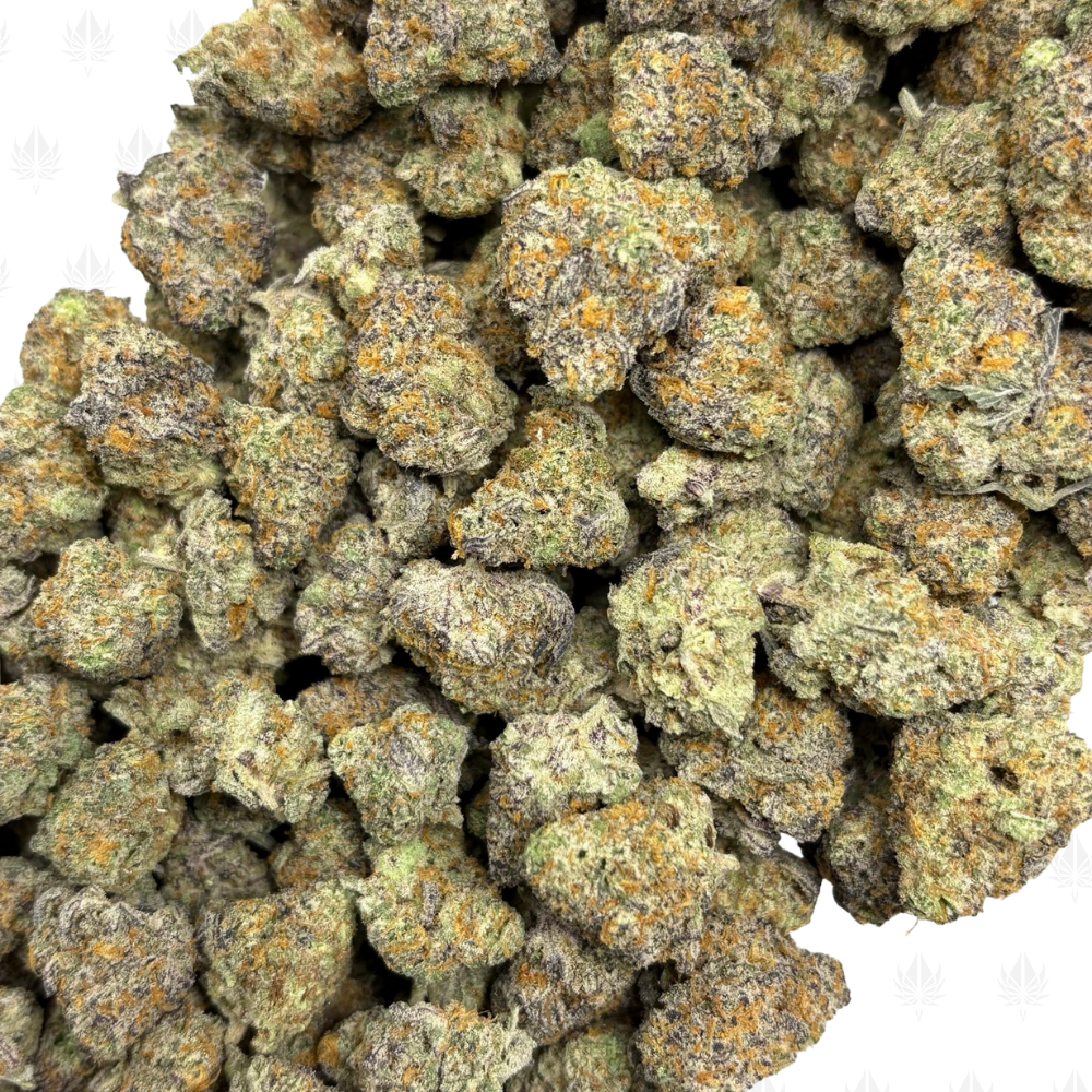 BLUEBERRY KIMBO-S (2)