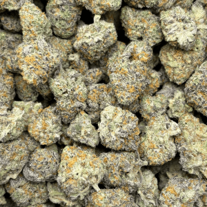 BLUEBERRY KIMBO-S (3)