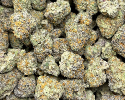 BLUEBERRY KIMBO-S (3)