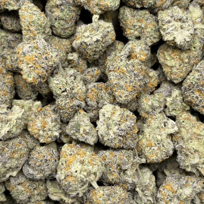 BLUEBERRY KIMBO-S (3)