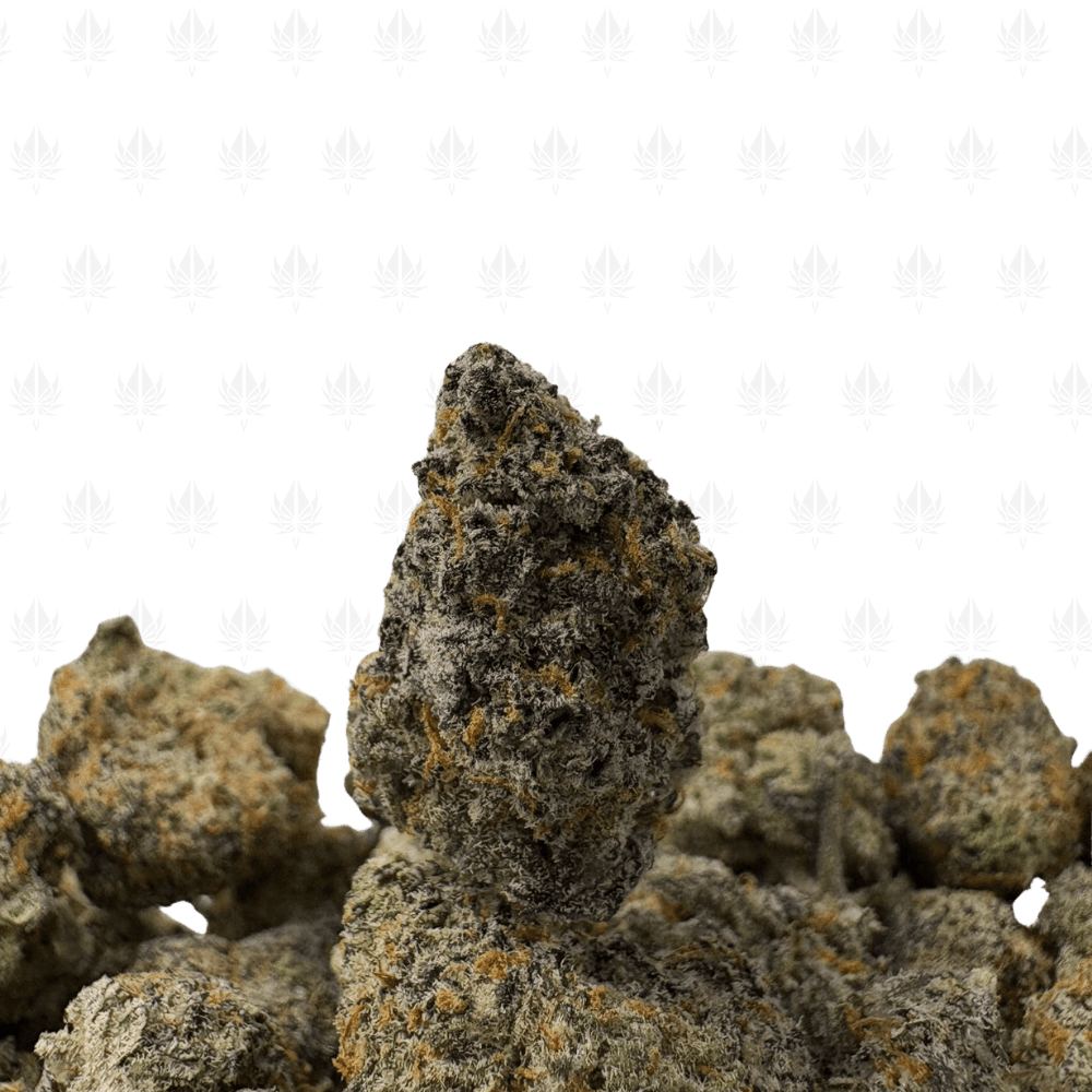 BLUEBERRY KIMBO-S BLUEBERRY KIMBO-S