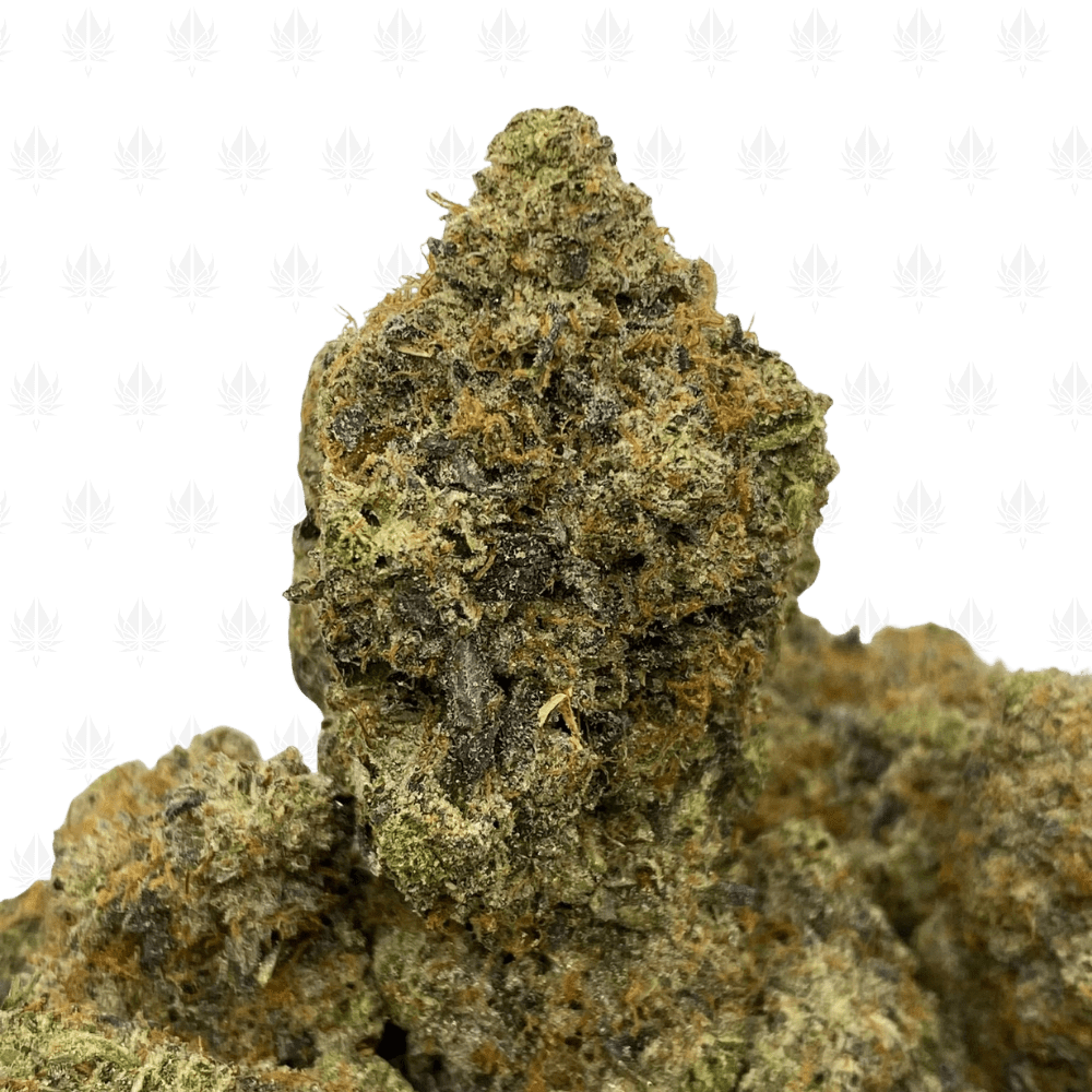 Bluefin Tuna-ug (3) Bluefin Tuna-ug (3)