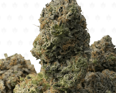 Bubba Kush-B