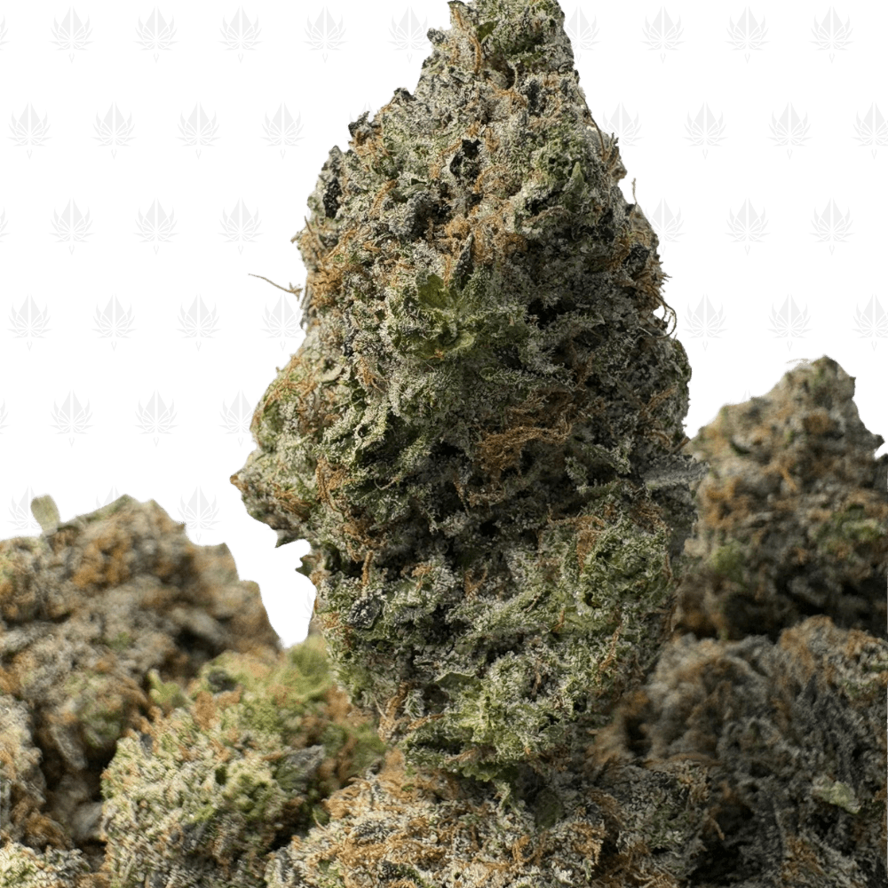 Bubba Kush-B Bubba Kush-B