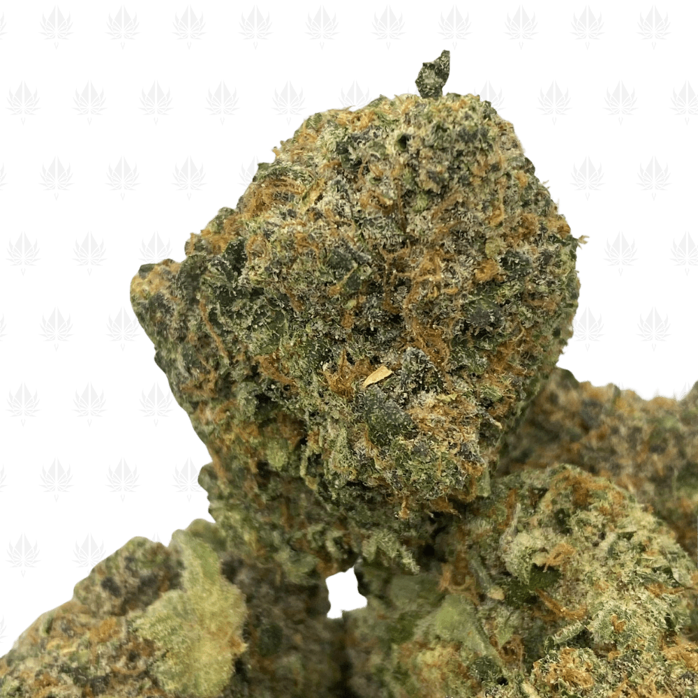 Double Gas (3) Double Gas (3)