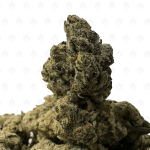 FRESH WATER BISCOTTI V2 (LSO EXOTICS)