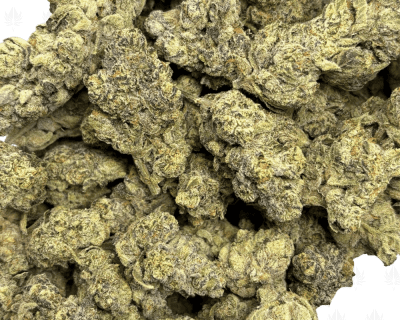 FRESH WATER BISCOTTI V2 (LSO EXOTICS) - Image 3