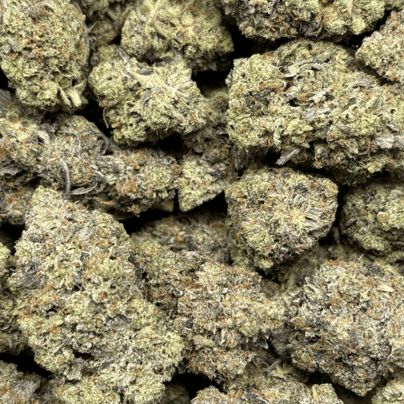 Gingerbread Pink-B (2)