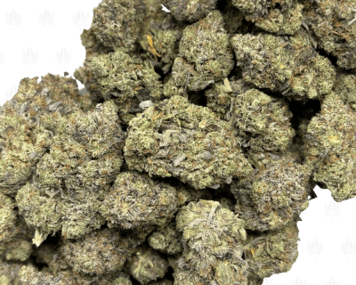 Gingerbread Pink-B (3)