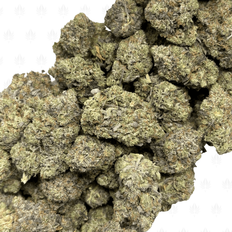 Gingerbread Pink-B (3)